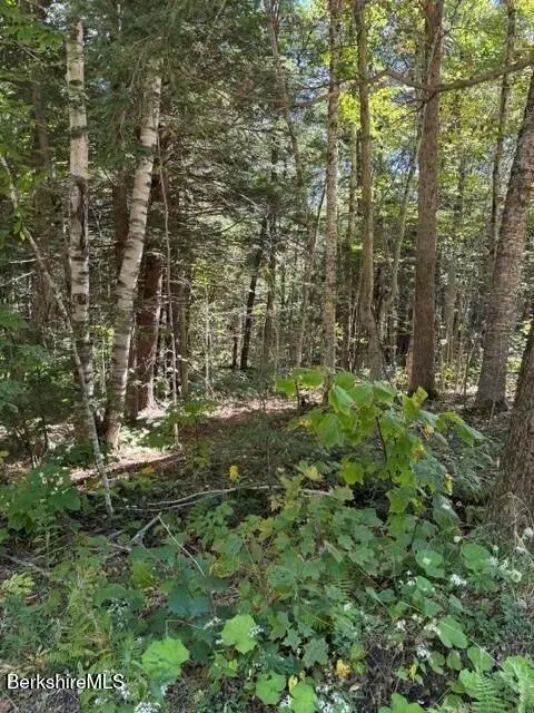 0 Hayscent Dr, Becket, MA 01223 - #3