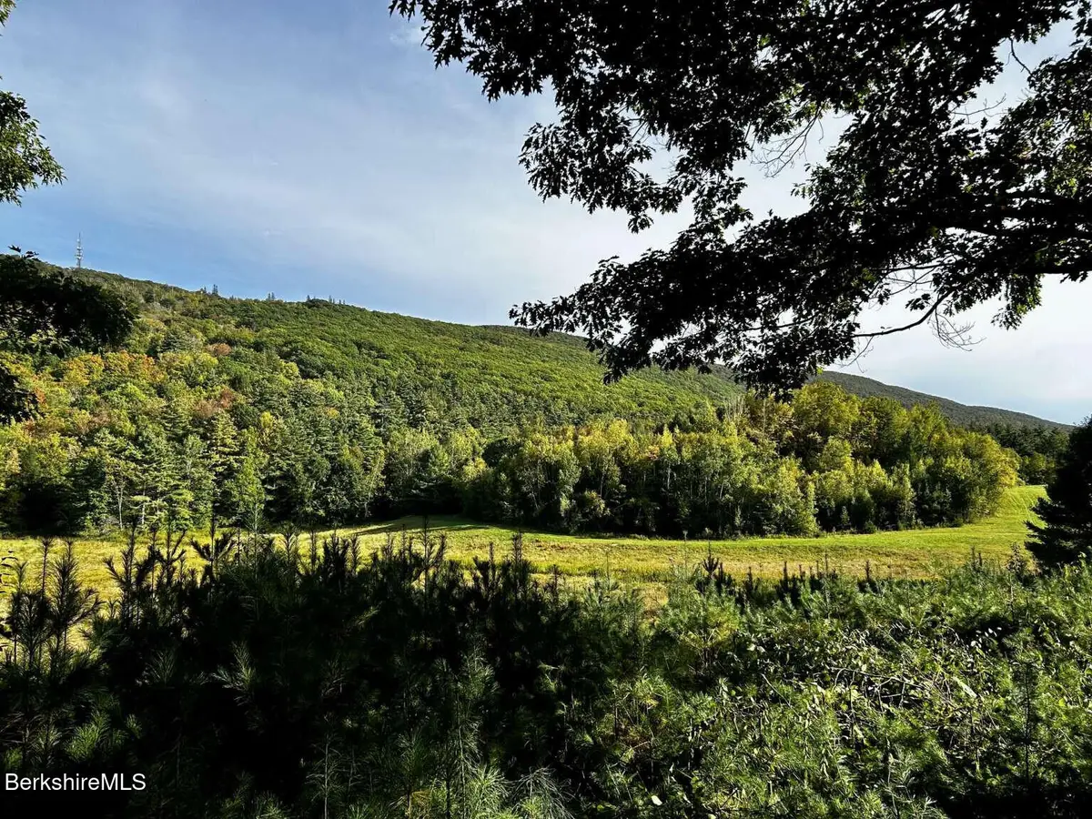 0 Daniels Rd, North Adams, MA 01247 - #1