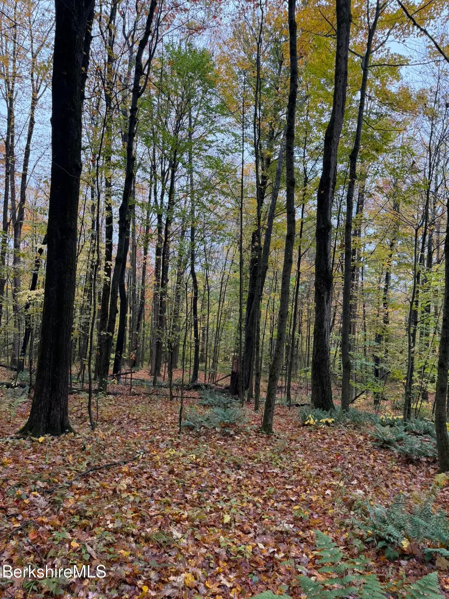 309 East Slope Rd, Pittsfield, MA 01201 - #3