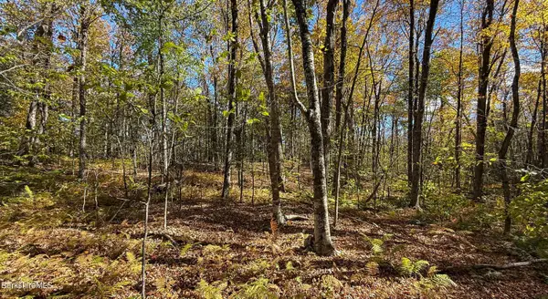 Lot 1B Hamilton Rd, Becket, MA 01223