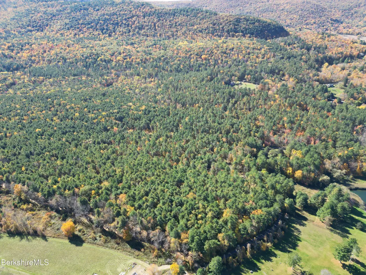 Lot 1 Warner Rd, South Egremont, MA 01258 - #1