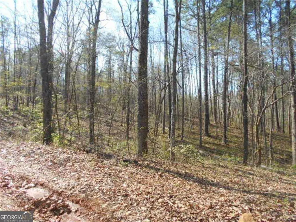 0 Nebo Road, Dallas, GA 30141 - #1