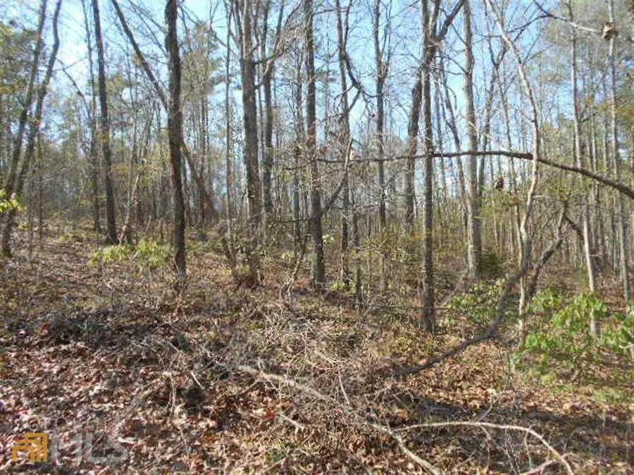 0 Nebo Road, Dallas, GA 30141 - #2