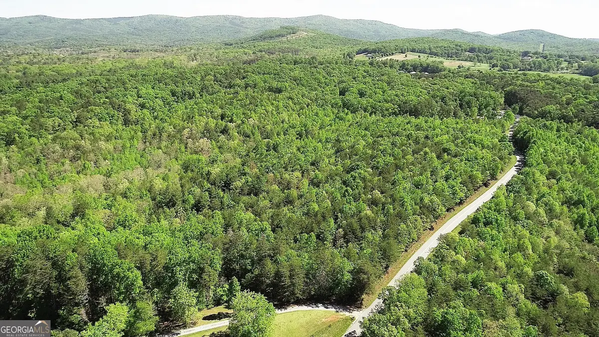 0 Ben Jones Road, Clarkesville, GA 30523 - #1