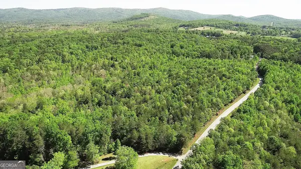 0 Ben Jones Road, Clarkesville, GA 30523