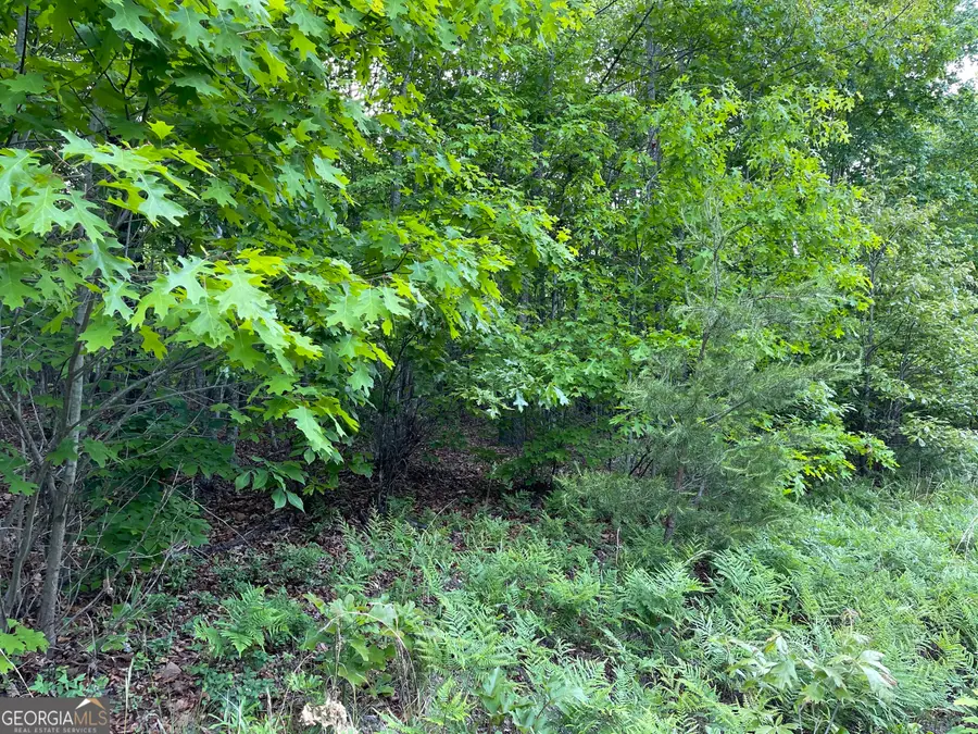 0 Ben Jones Road, Clarkesville, GA 30523 - #2