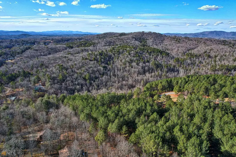LOT 45 Inwood Lane, Blairsville, GA 30512 - #2