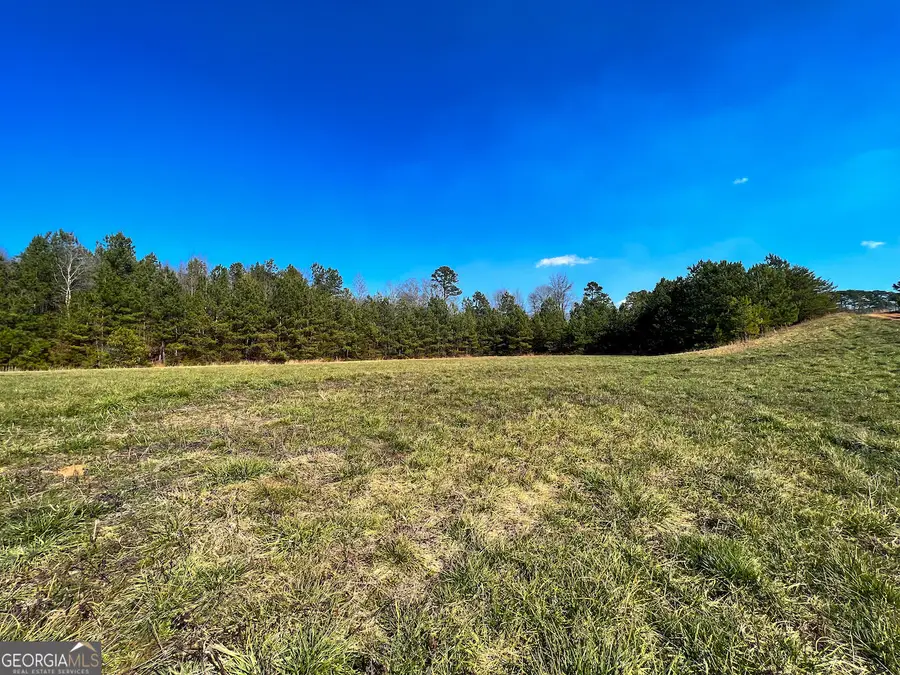 4444 State Highway 365, Cornelia, GA 30531 - #3