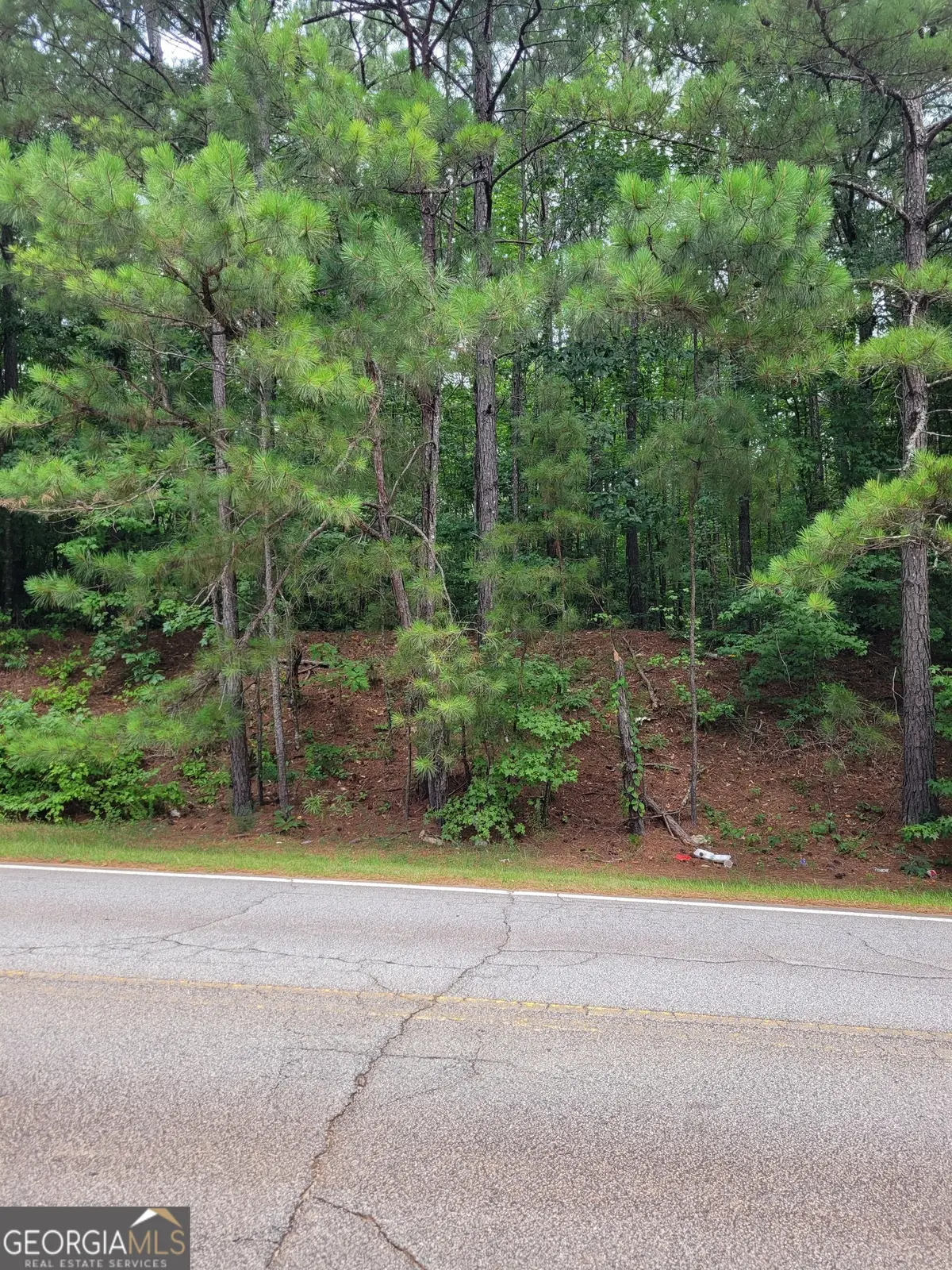 0 White Mill Road, Fairburn, GA 30213 - Image #1