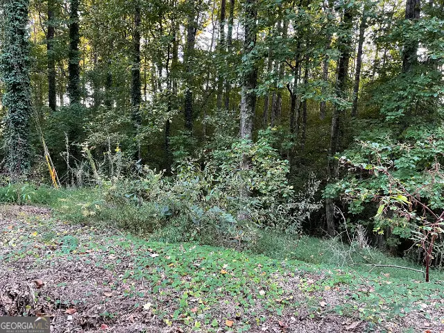 5992 Little Mountain Drive, Ellenwood, GA 30294 - #1