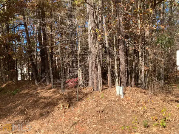 0 Egret Court, Monticello, GA 31064