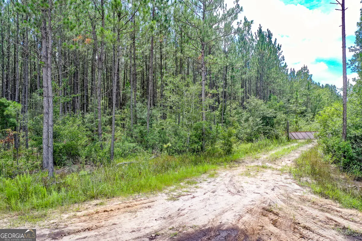 0 Miller Hayes Road, Waycross, GA 31503 - Image #1