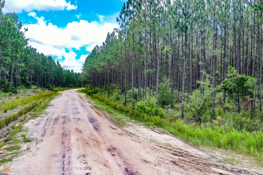 0 Miller Hayes Road, Waycross, GA 31503 - Image #2