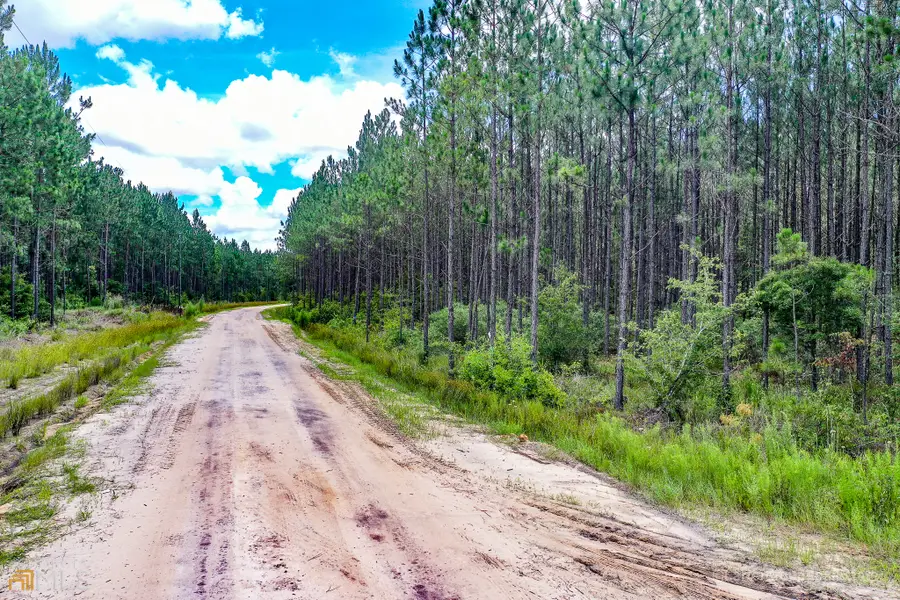 0 Miller Hayes Road, Waycross, GA 31503 - Image #3