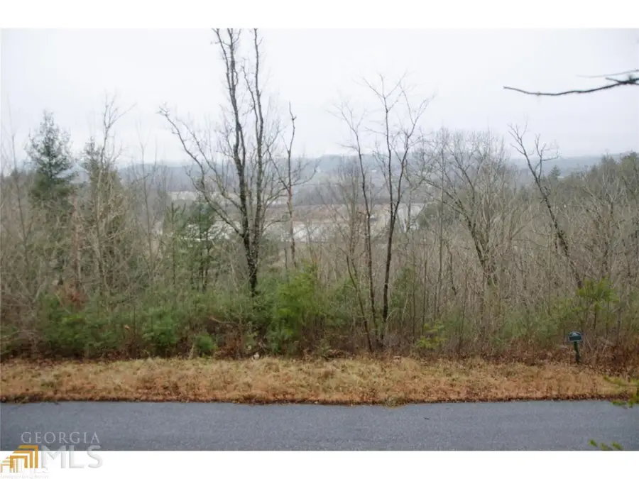 0 Winter Court #35, Rabun Gap, GA 30568 - Image #3
