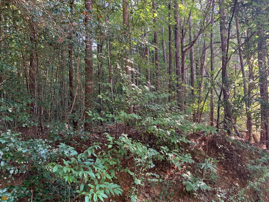 5.10 ACRES Hwy 123, Toccoa, GA 30577 - Image #3
