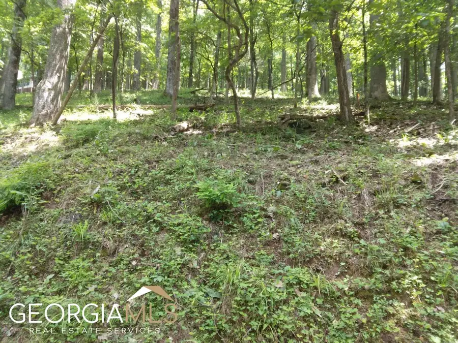 M213 Walnut Ridge #M213, Ellijay, GA 30540 - Image #2