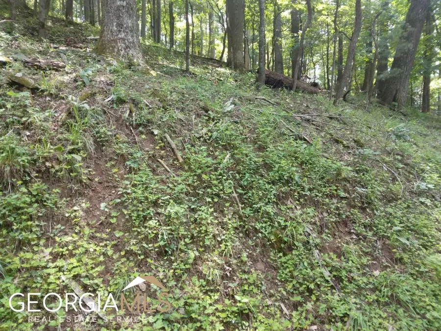 M213 Walnut Ridge #M213, Ellijay, GA 30540 - Image #3