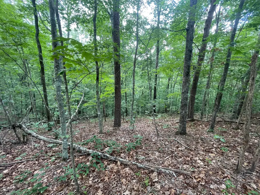 88 Muslin Drive Ne, Ranger, GA 30734 - Image #3