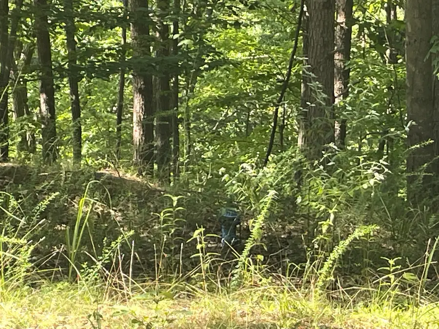 253 Oxford Circle Ne, Ranger, GA 30734 - Image #3