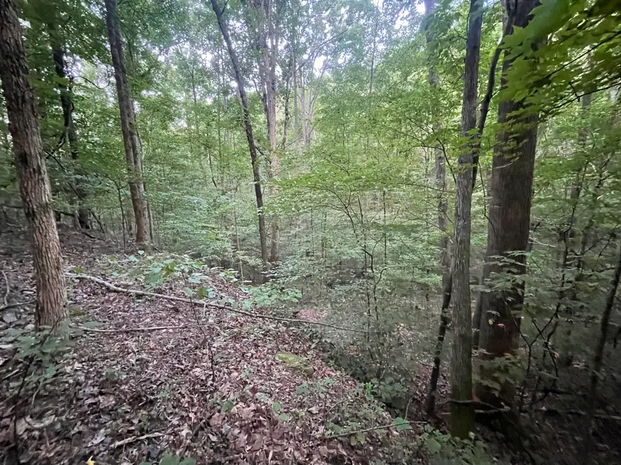 667 Sanford Court, Ranger, GA 30734 - Image #3