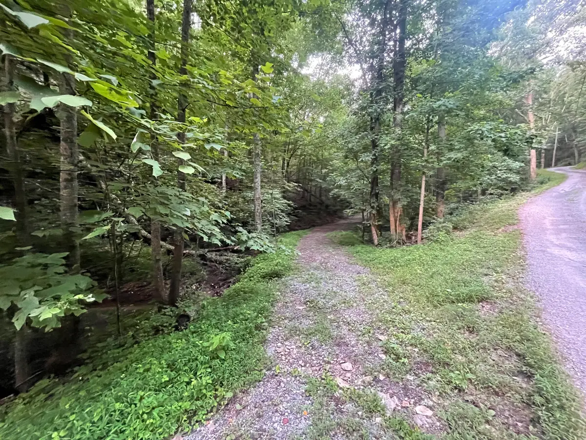 725 Anderson Lane, Ranger, GA 30734 - Image #1