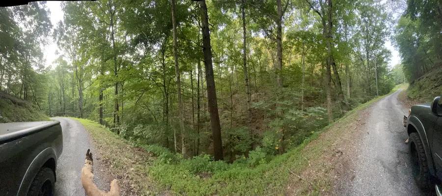 725 Anderson Lane, Ranger, GA 30734 - Image #2