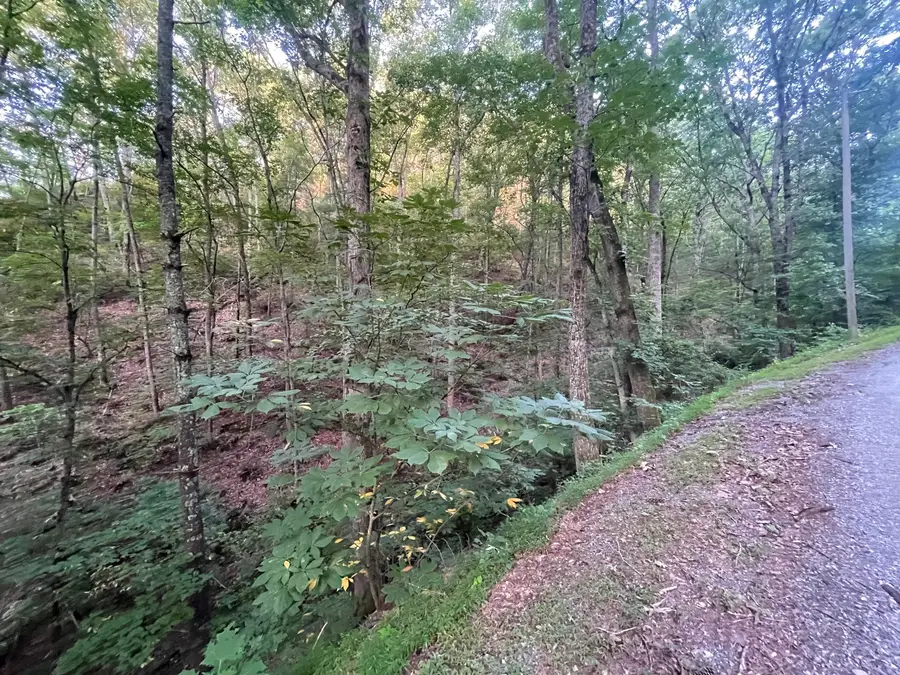 725 Anderson Lane, Ranger, GA 30734 - Image #3