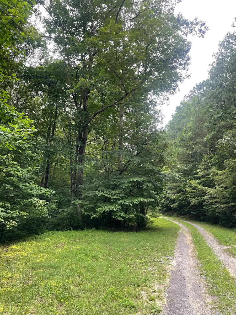 852 Albus Court Ne, Ranger, GA 30734 - Image #3