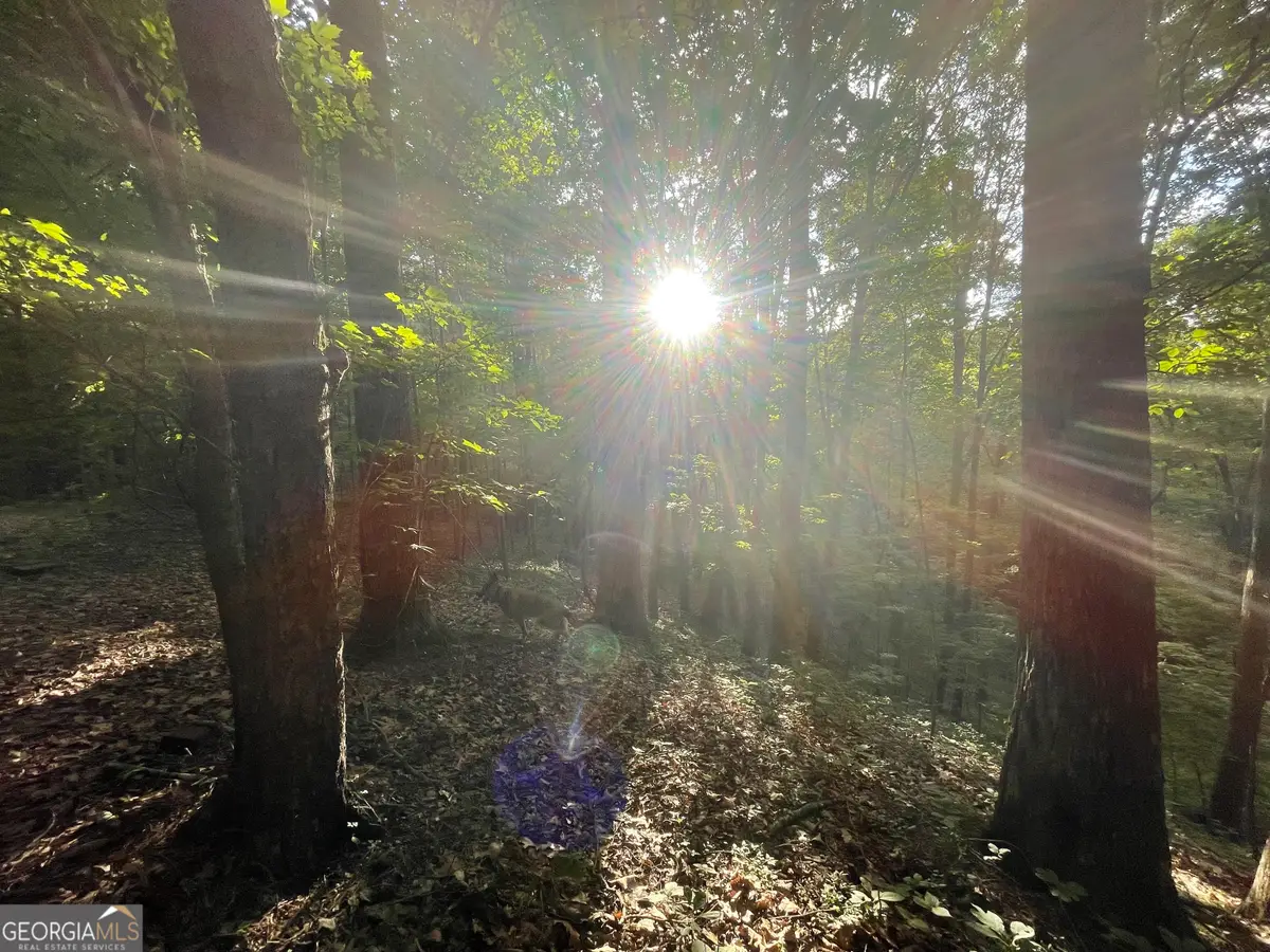 1218 Hilton Drive, Ranger, GA 30734 - Image #1