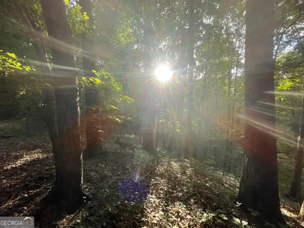 1218 Hilton Drive, Ranger, GA 30734