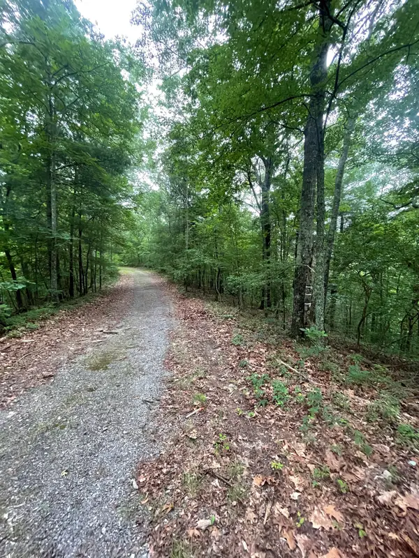 493 Naomi Court, Ranger, GA 30734