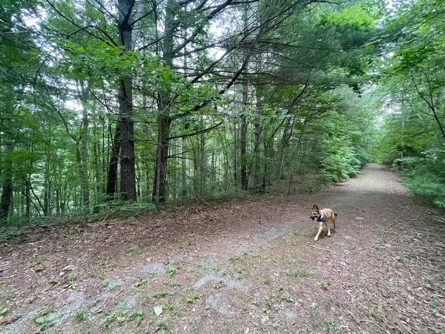 1553 Dorian Court, Ranger, GA 30734 - Image #2