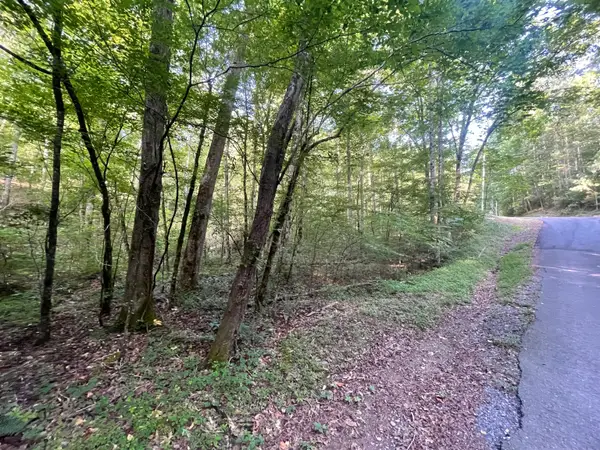 730 Nettle Lane, Ranger, GA 30734