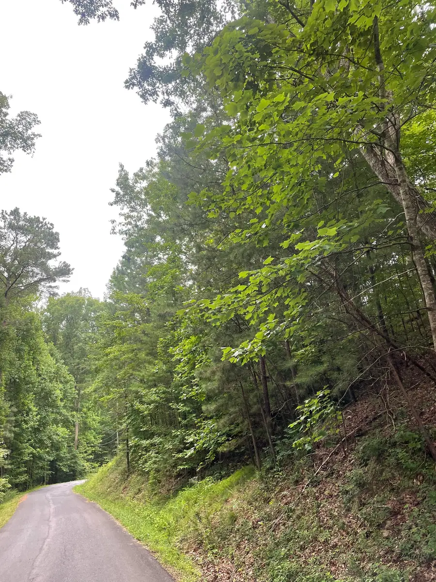 827 Monody Lane, Ranger, GA 30734 - Image #3