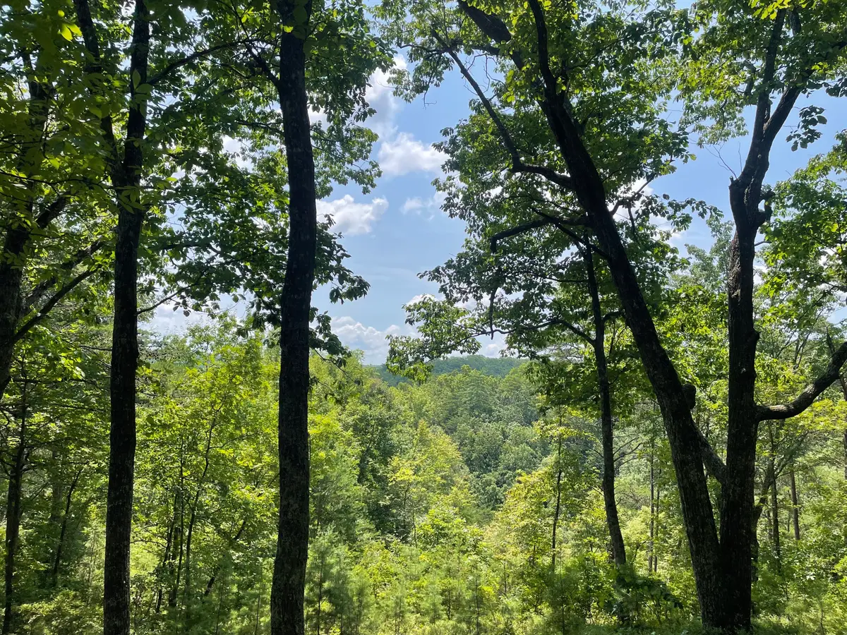 1200 Jewel Court Ne, Ranger, GA 30734 - Image #1