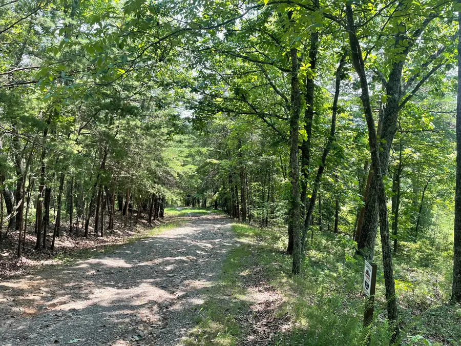 1200 Jewel Court Ne, Ranger, GA 30734 - Image #3