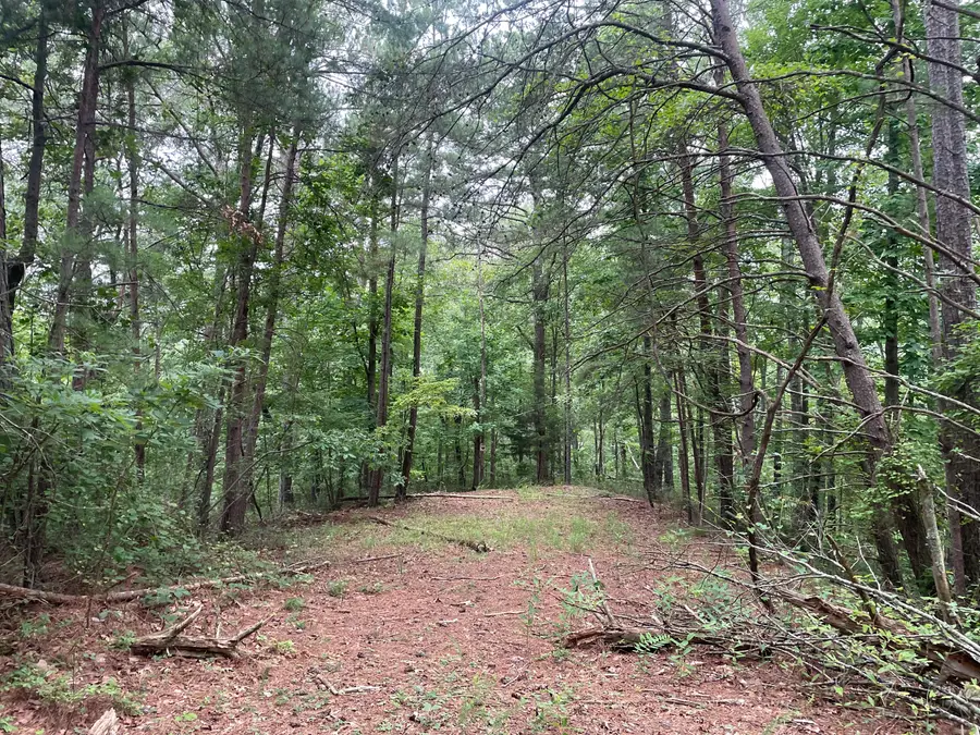 741 Forge Court, Ranger, GA 30734 - Image #3