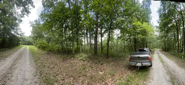 1462 Hanna Drive, Ranger, GA 30734