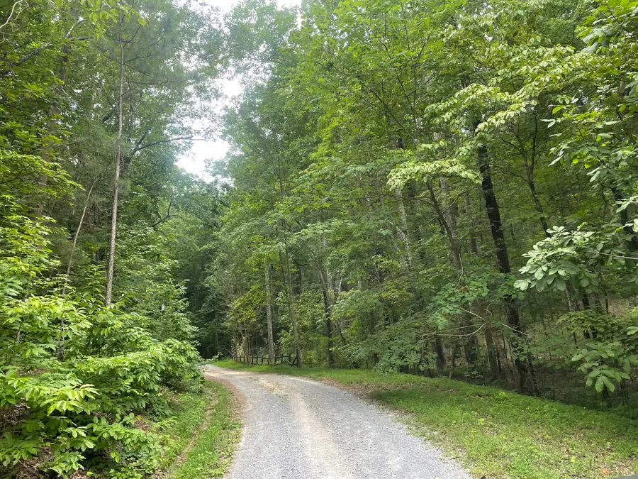 1096 Gable Drive, Ranger, GA 30734 - Image #3