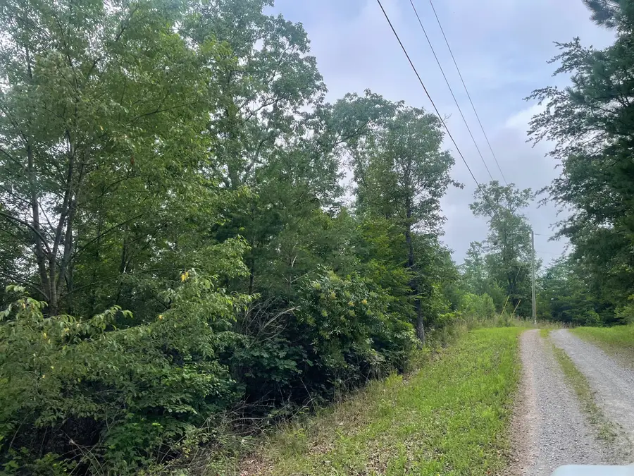 916 Aurora Lane, Ranger, GA 30734 - Image #3