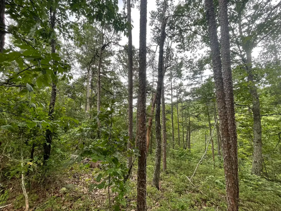 1314 Arrow Court, Ranger, GA 30734 - Image #2