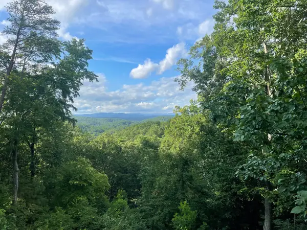 1071 Mayfield Lane Ne, Ranger, GA 30734