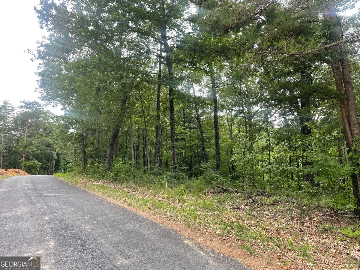 1401 Foxhound Trail Ne, Ranger, GA 30734 - Image #1