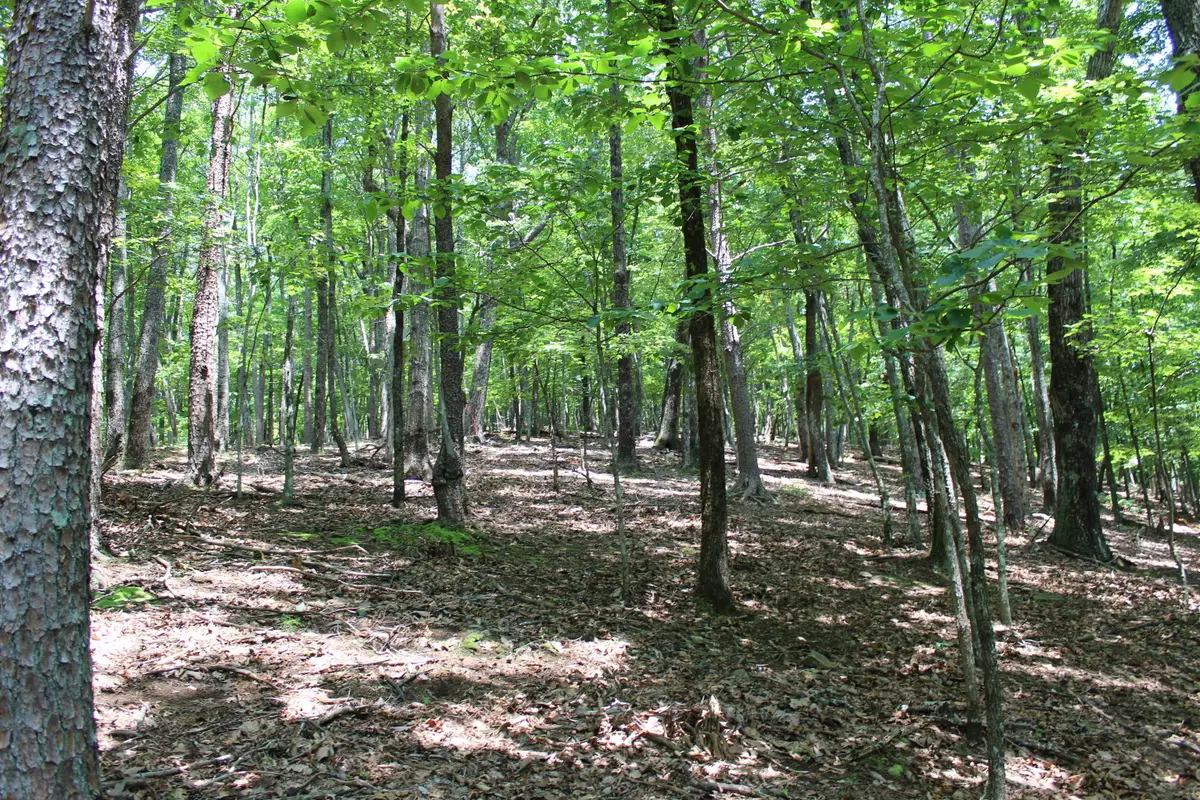 0 Denny Ridge Road #4568, Jasper, GA 30143 - #1