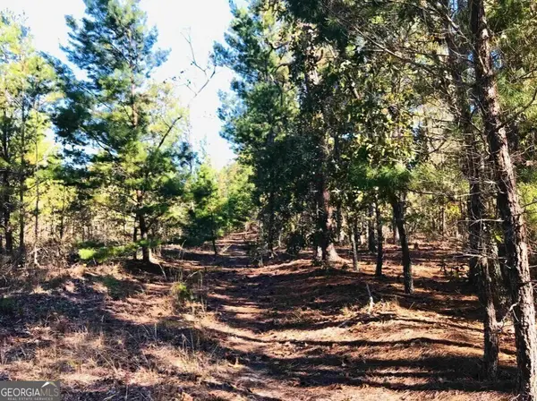 245 Dog Track Road, Mauk, GA 31058