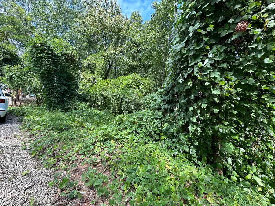 0 King Mtn Drive, Clayton, GA 30525 - Image #2