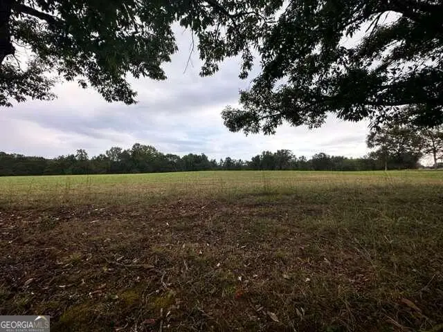 1470 Lee Peters Road, Loganville, GA 30052 - #3