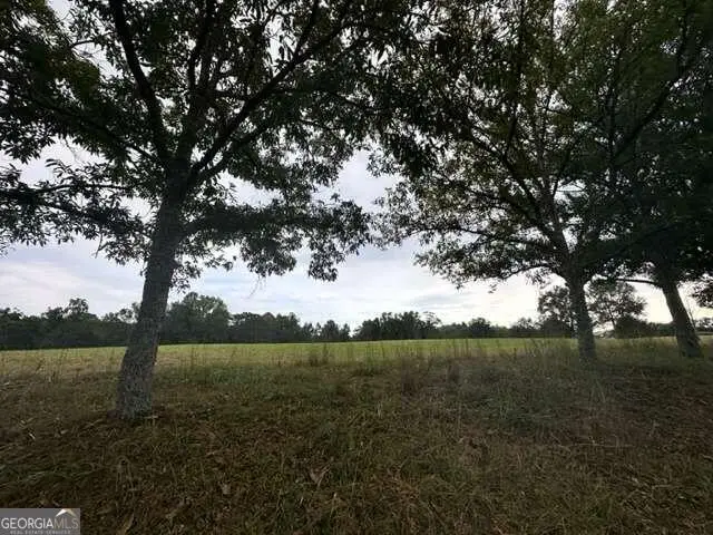 1450 Lee Peters Road, Loganville, GA 30052 - #2