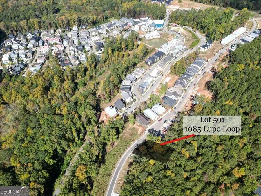 1085 Lupo Loop, Chattahoochee Hills, GA 30268 - Image #2